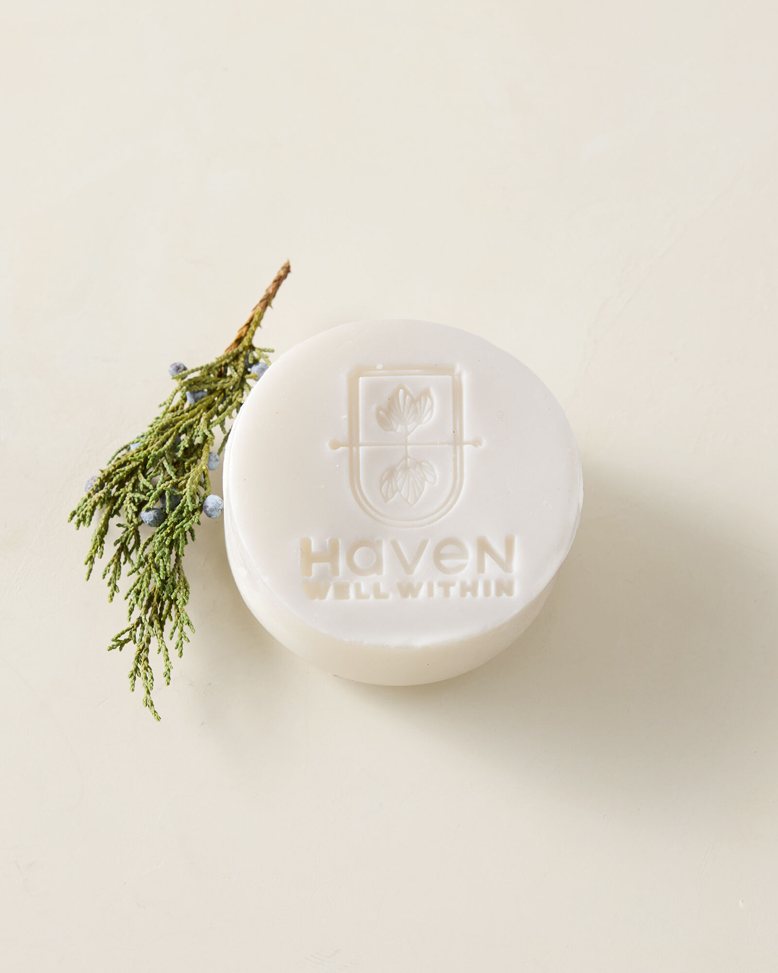 Cleanse Gourmet x Haven Well Within Gather Loofah Bar